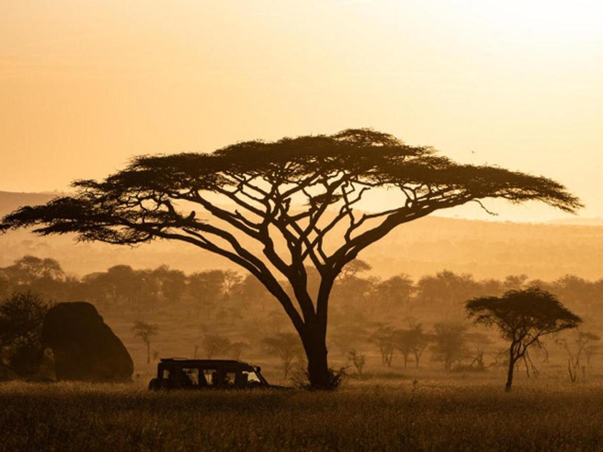 Serengeti Sound Of Silence Exterior foto