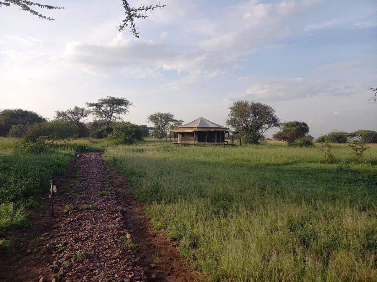 Serengeti Sound Of Silence Exterior foto