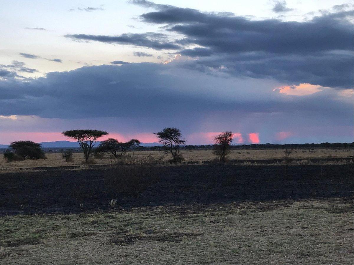 Serengeti Sound Of Silence Exterior foto